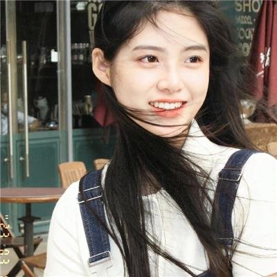 克努特和它的朋友们